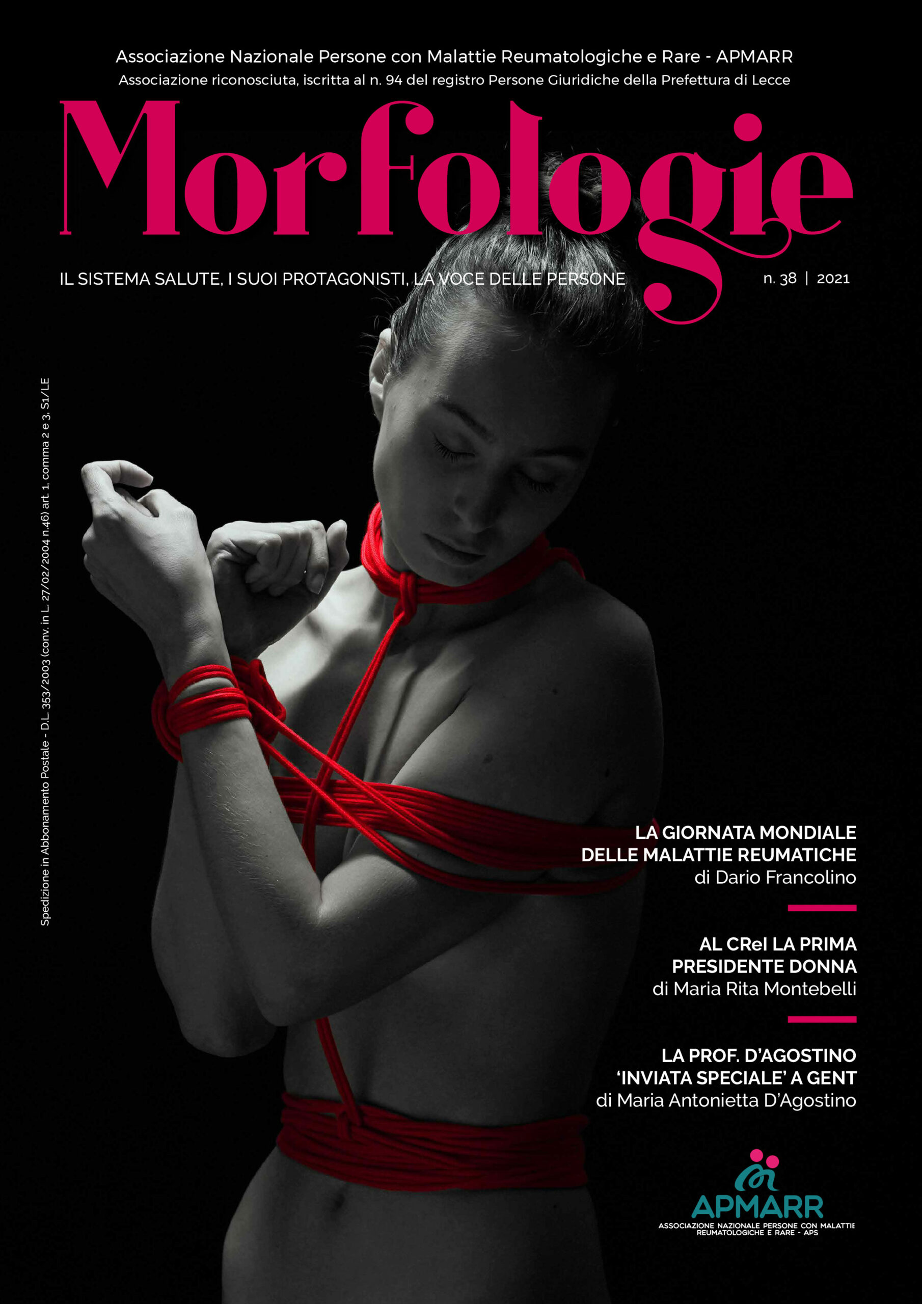 Morfologie n°38