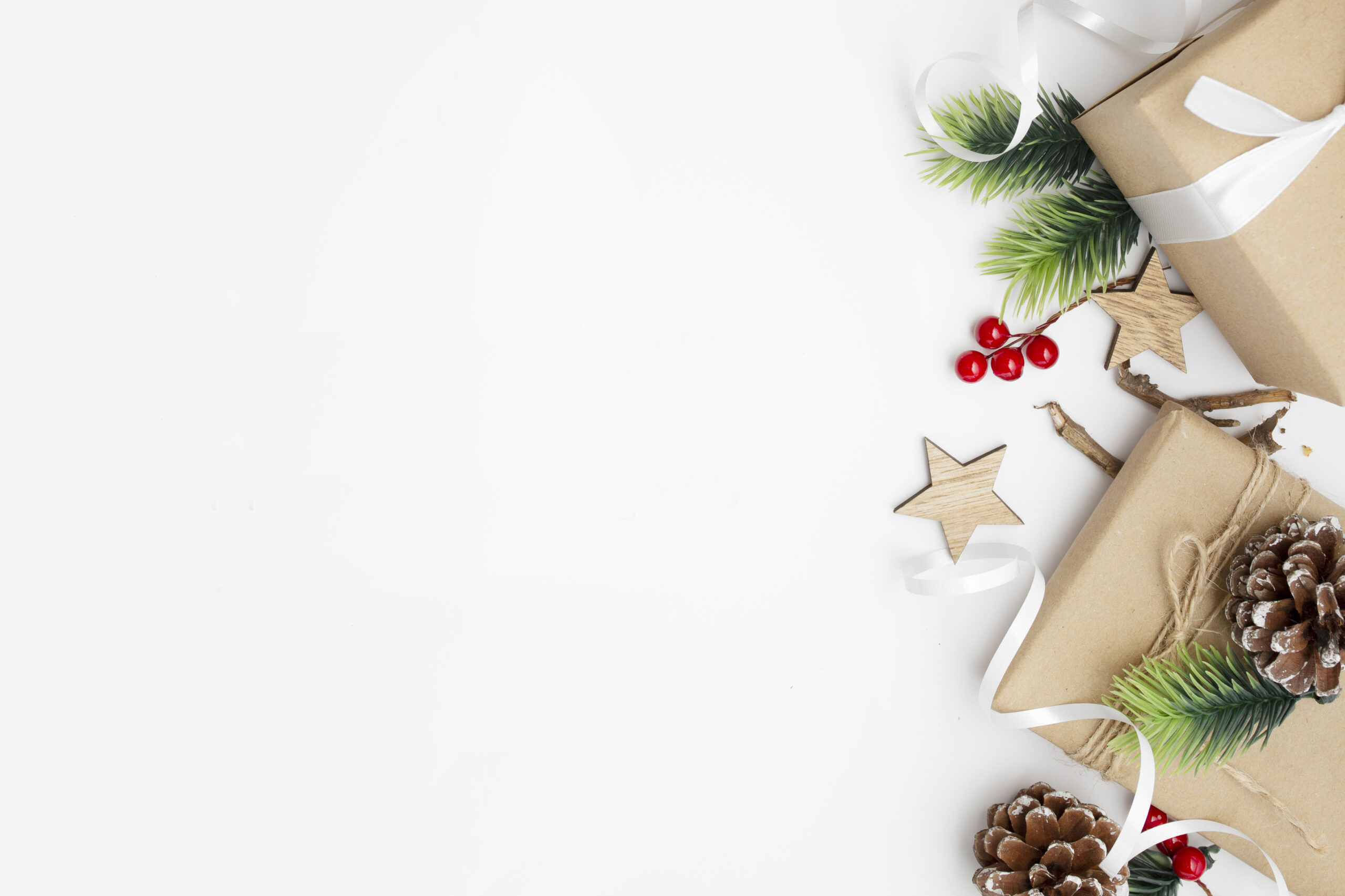 Morfologie n.39 – L’OPINIONE – A Natale puoi di Andrea Tomasini