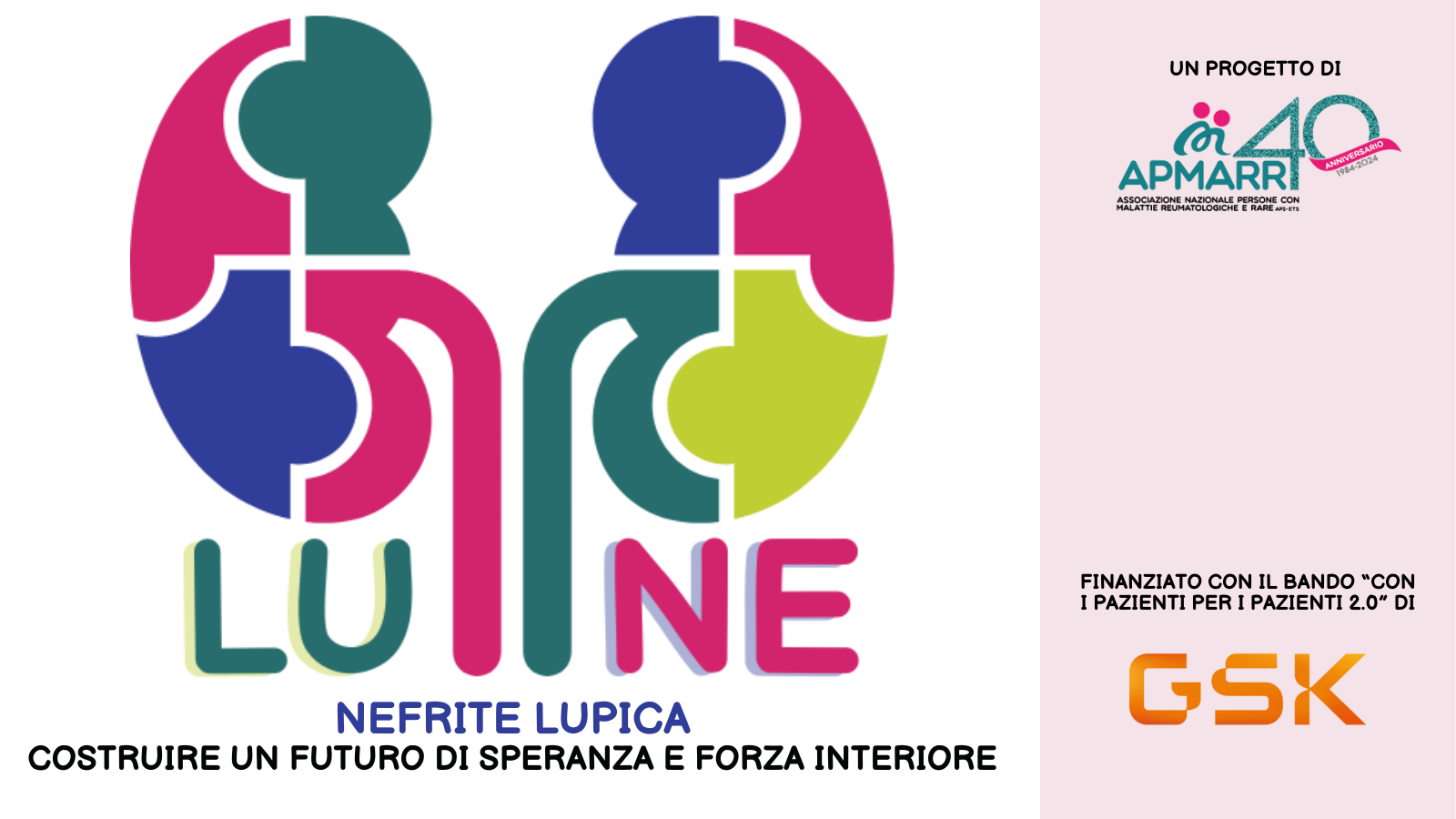 APMARR avvia il progetto LUNE rivolto a persone con Nefrite Lupica
